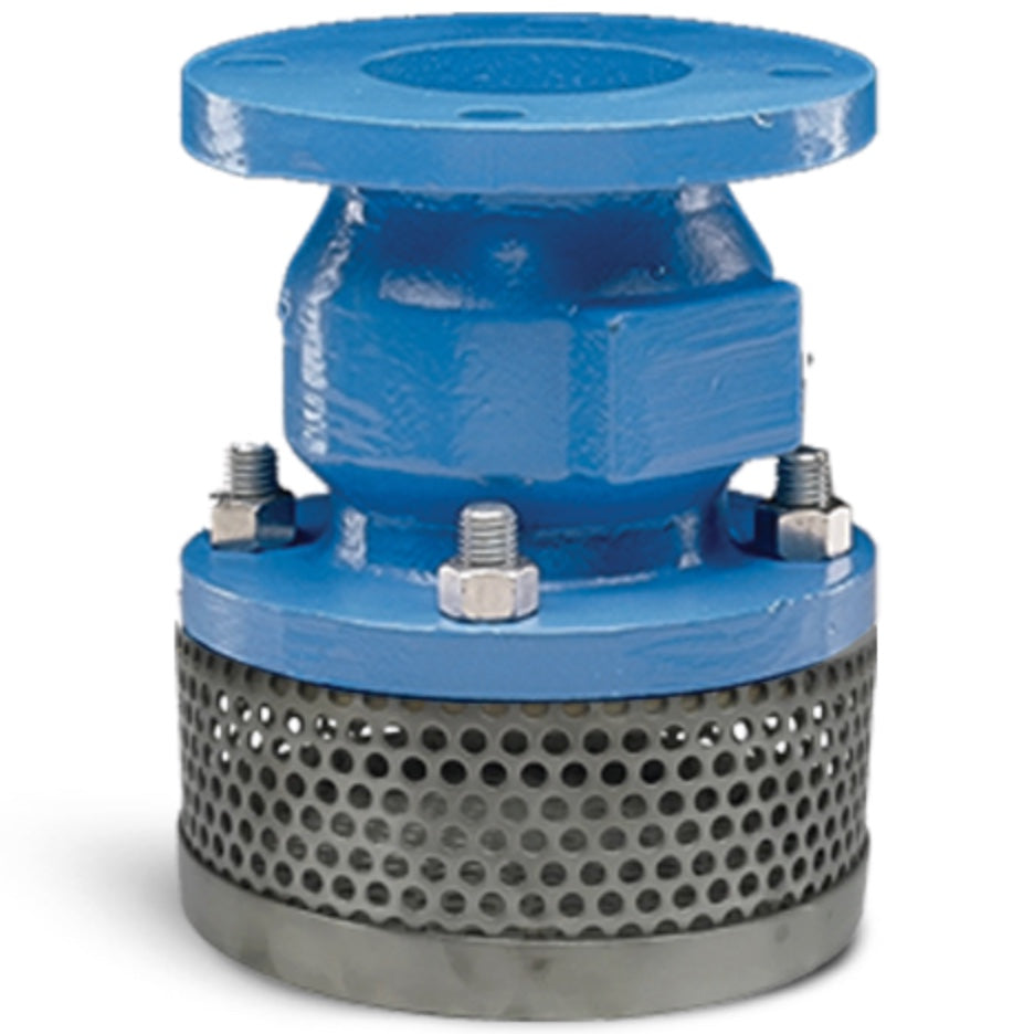 Flomatic 5420ST 20" Ductile Iron Foot Valve 302BT Series