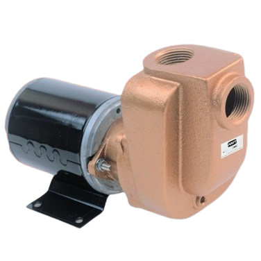 AMT 4851-97 3/4" Bronze Marine Self-Priming Utility Pump (1/8 HP, 12V, TENV, Buna-N/SS Seal)