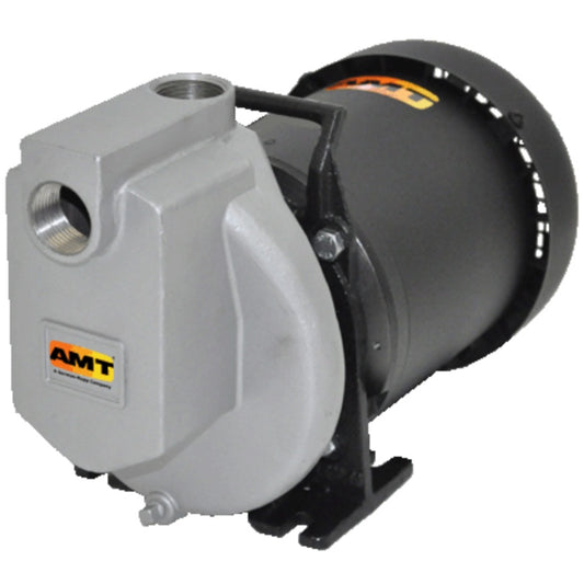 AMT 4294-98 1" Stainless Steel Self-Priming Electric Motor Driven Centrifugal Pump (1/3 HP, ODP, 56J, 115/230V, Single Phase, Viton®/SS)