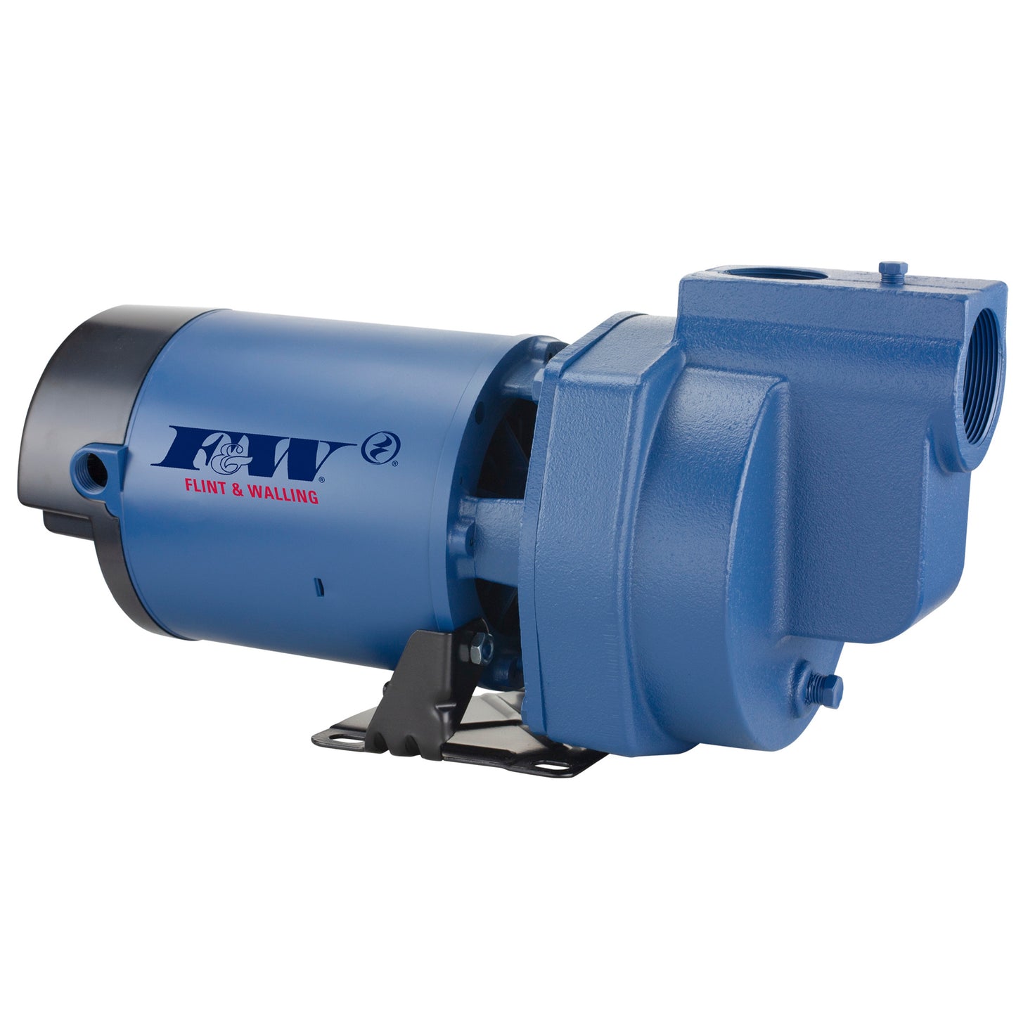 Flint & Walling SP10P1 SP Self-Priming Lawn Sprinkler Irrigation Pump (1 HP, Single Phase, 115/230V)
