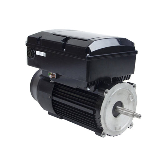 US Motors - Nidec - Neptune NPTQ165 1.65 THP Variable Speed Pool Pump Motor (Square Flange, Single Phase, 50/60 Hz, 115/230V, 3450 RPM)