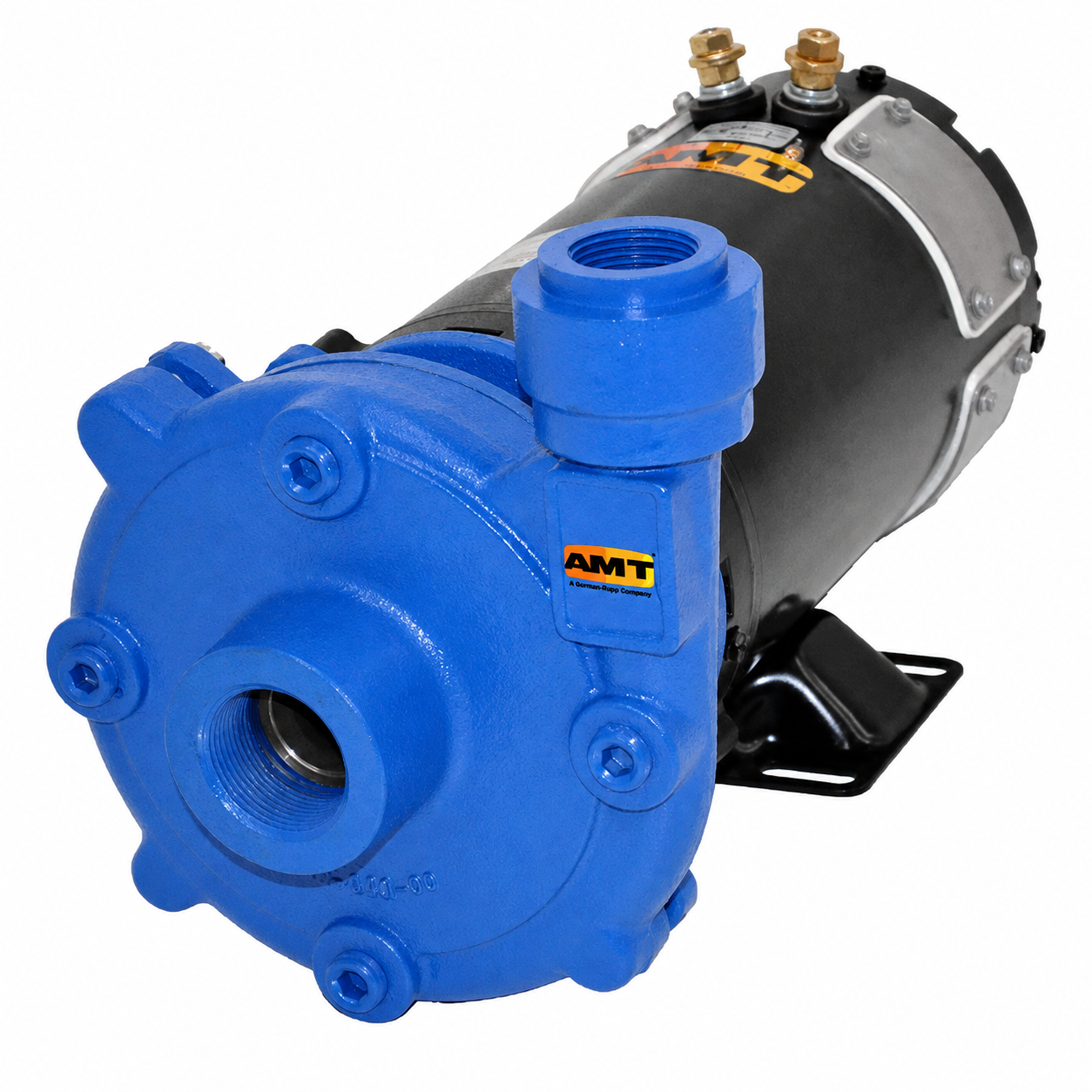 AMT 12DC-98 12 Volt DC Washdown Pump (7/8 HP, Stainless Steel, 1-1/4" x 1")