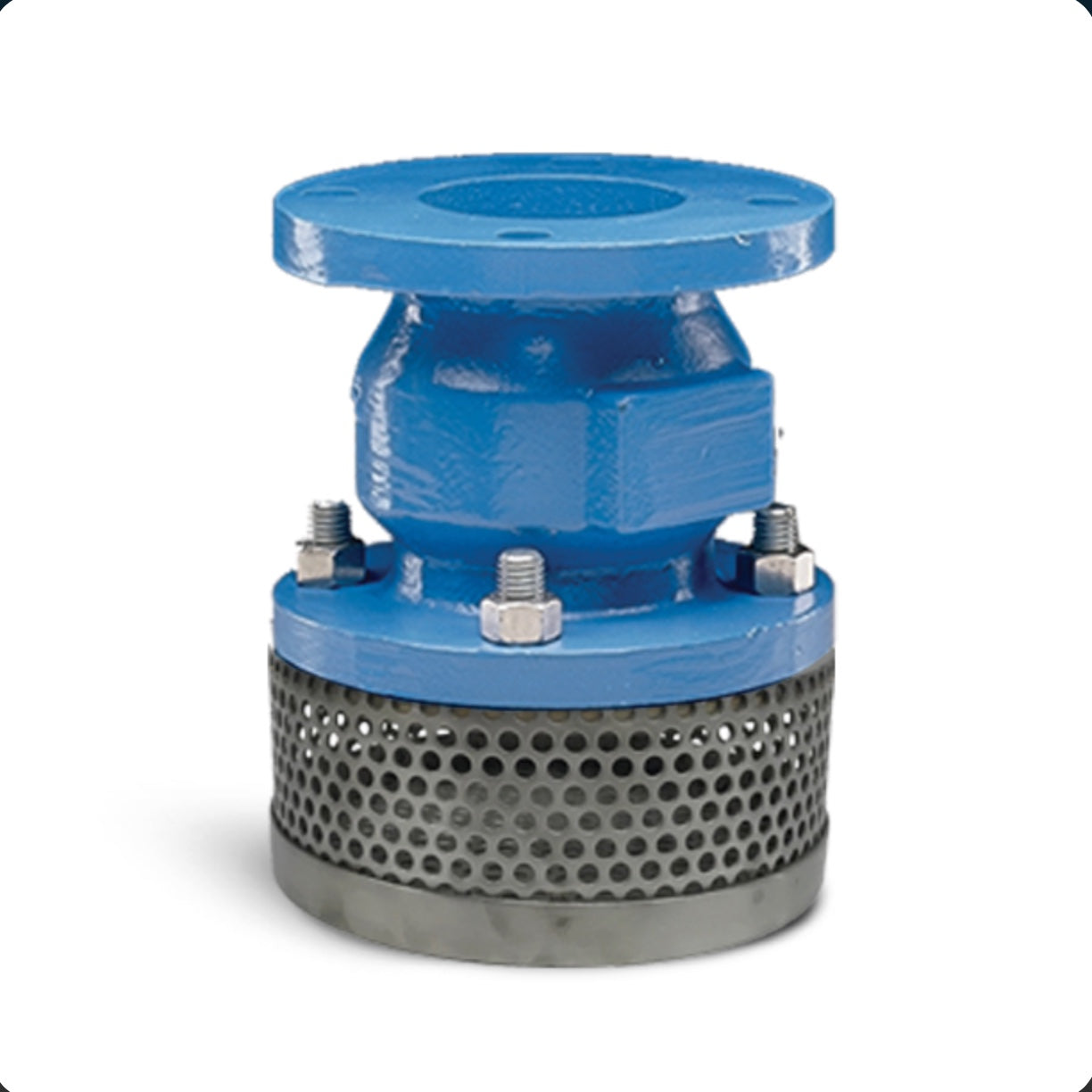 Flomatic 5416BT 12" Ductile Iron Foot Valve 302BT Series