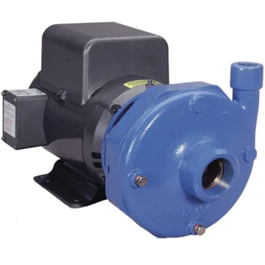 Goulds 4BF1H1K0 Series 3656 S Cast Iron Bronze Fitted Centrifugal Pump (3 HP, Single Phase, 115/230V, ODP)