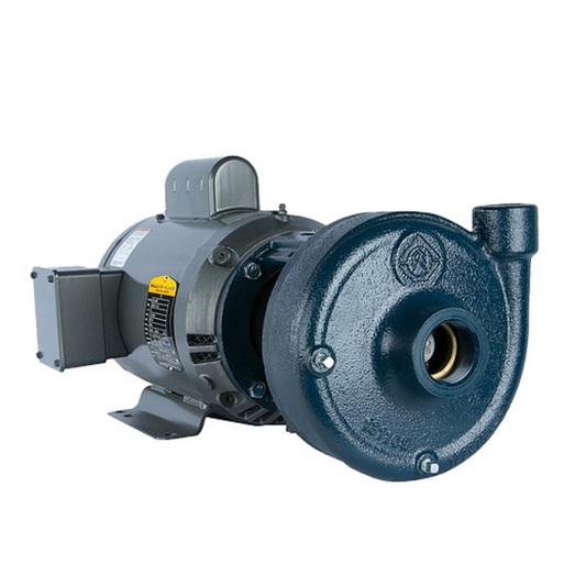 Franklin Electric 93162731 Model 7FPDBL2-TE D Series Close-Coupled Centrifugal Pump (3/4 HP, Three Phase, 230 VAC / 460 VAC, TEFC)