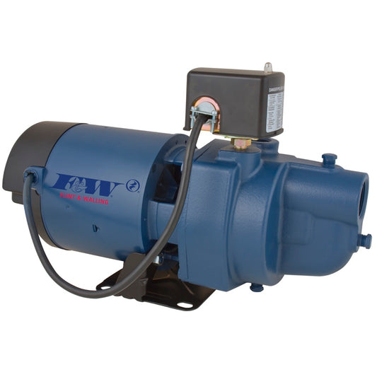 Flint & Walling EK10S EK Shallow Well Jet Pump (1 HP, Single Phase, 115/230V)