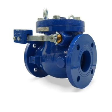 Flomatic 2811LW 93LW 10" Swing Check Valve