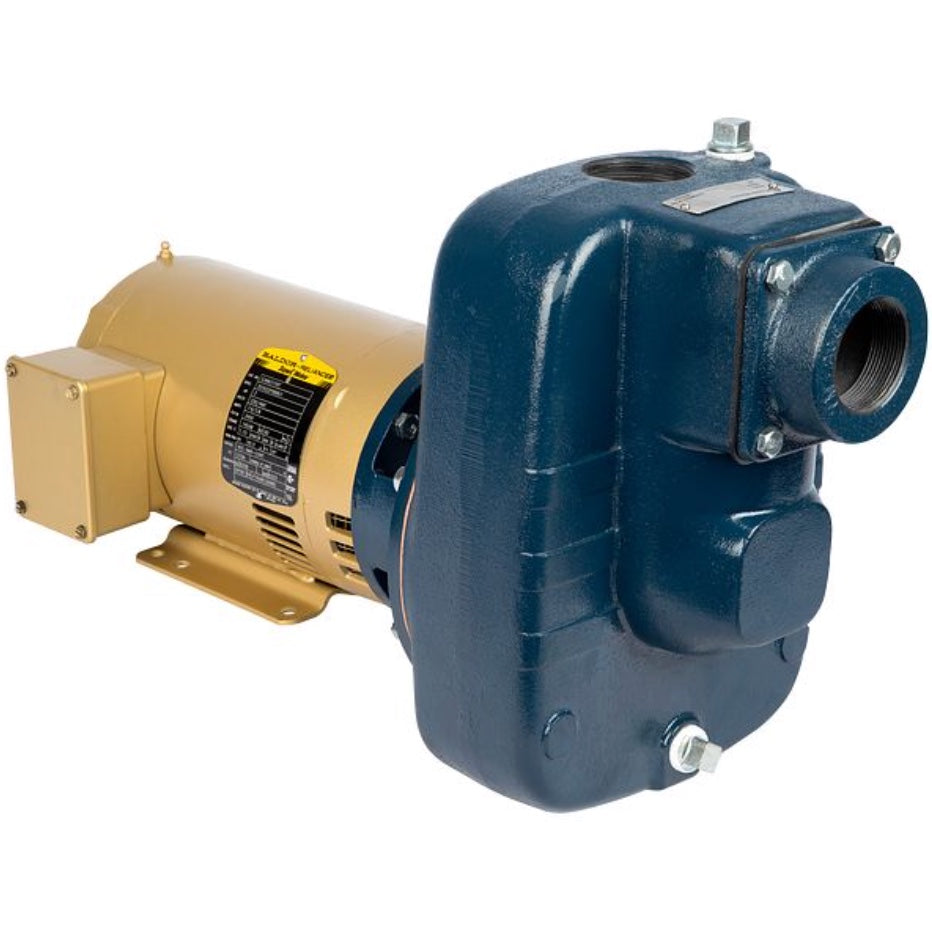 Franklin Electric 92980135 Model FTB3CI-TE Turf Boss Close-Coupled Self-Priming Irrigation Pump (3 HP, Three Phase, 230/460V, TEFC)