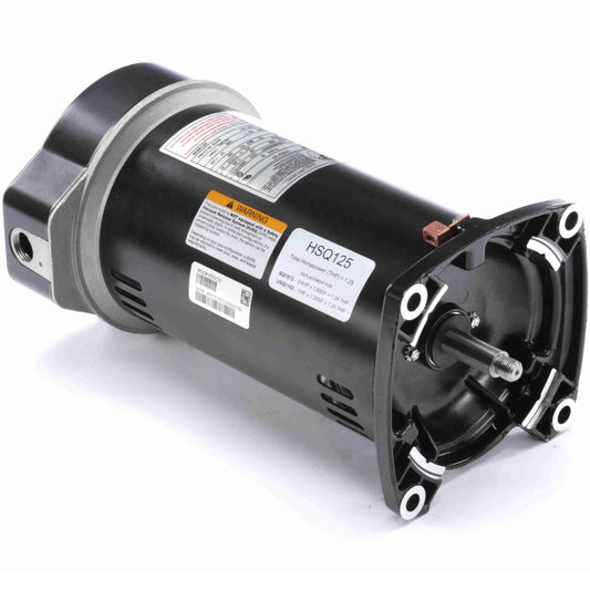 Century Centurion PRO® HSQ125 1.25 HP Pool Pump Motor (Single Phase, 60 Hz, 115/230V, 3600 RPM, 48Y, ODP)