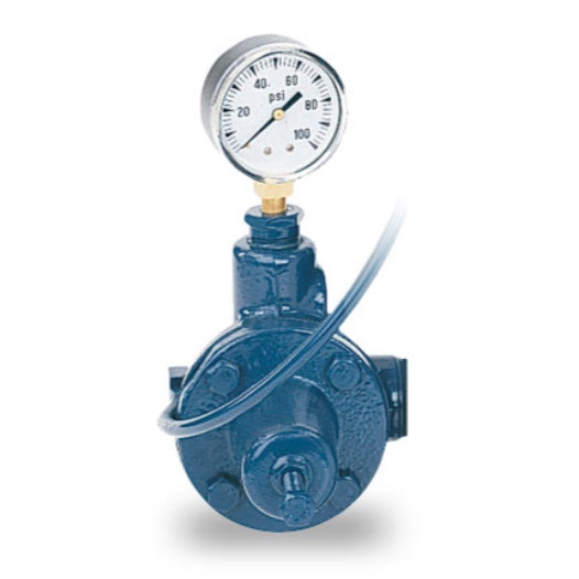 Pentair Sta-Rite PKG 107 Deep Well Pressure Regulator Kit