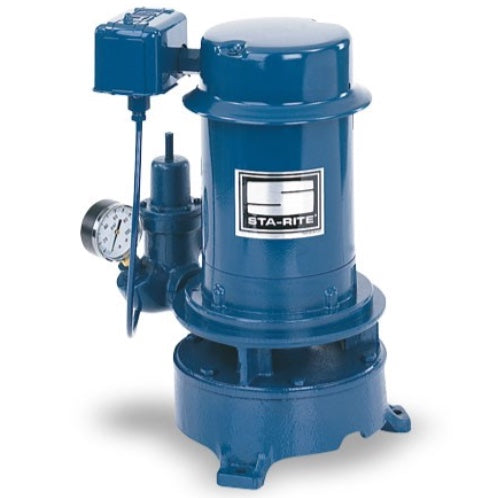Sta-Rite SSJE Cast Iron Vertical Single-Stage Deep Well Jet Pump (1 HP, Single Phase, 115/230V)