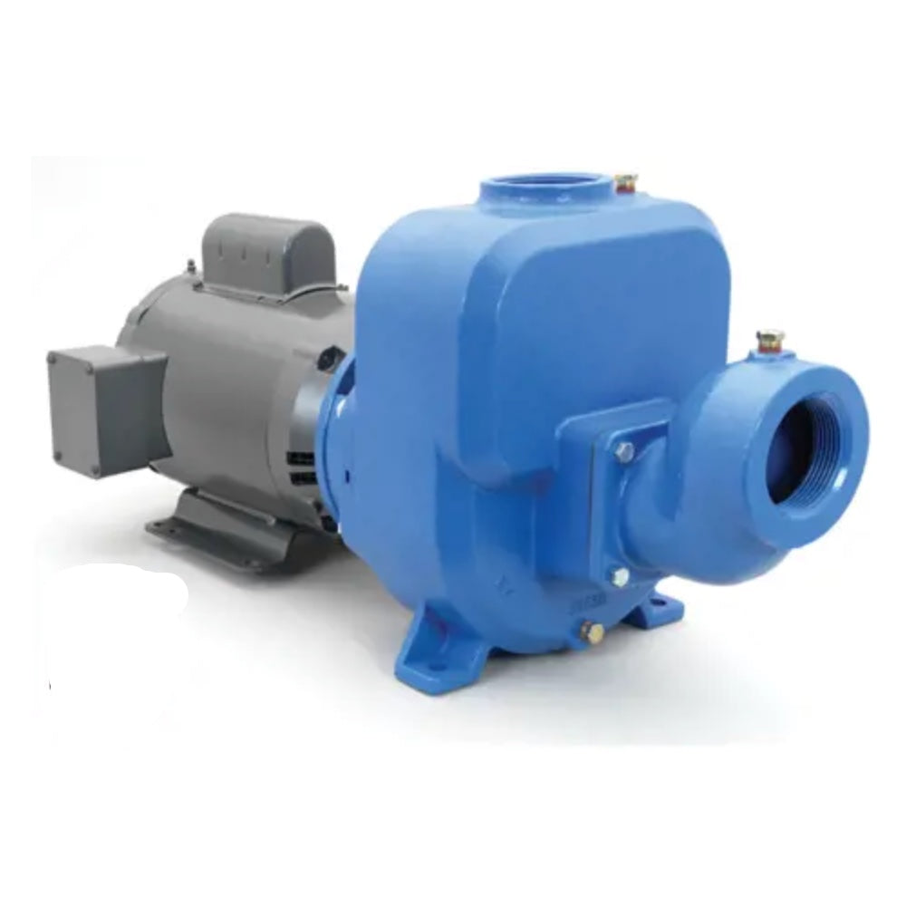 Goulds 30SPM10F PrimeLine® SP Series Medium Head Self-Priming Cast Iron Centrifugal Pump (3 HP, Single Phase, 115/230V, ODP)