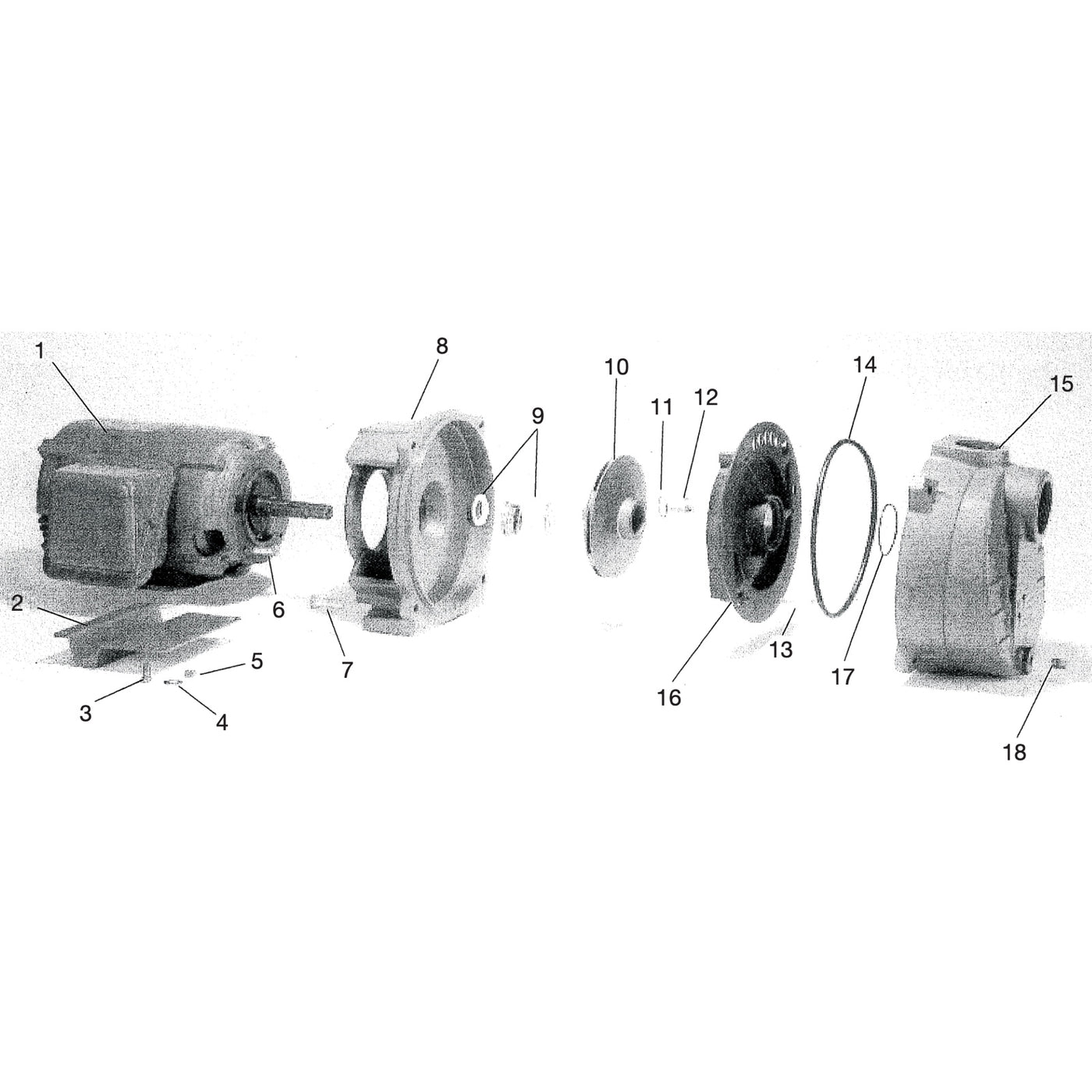 Myers QP50B Quick Prime Self-Priming Centrifugal Pump (5 HP, Single Phase, 230V, Brass Impeller)
