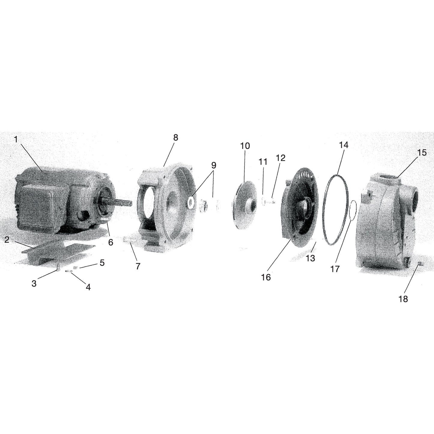 Myers QP50B Quick Prime Self-Priming Centrifugal Pump (5 HP, Single Phase, 230V, Brass Impeller)