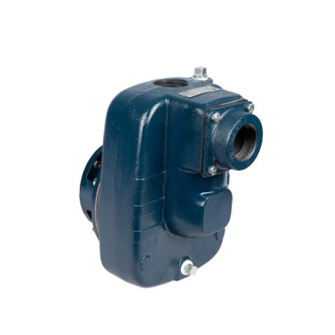Franklin Electric 92980033 Model FTB3CI-PE Turf Boss Close-Coupled Self-Priming Irrigation Pump End Only (3 HP, 145-184JM)